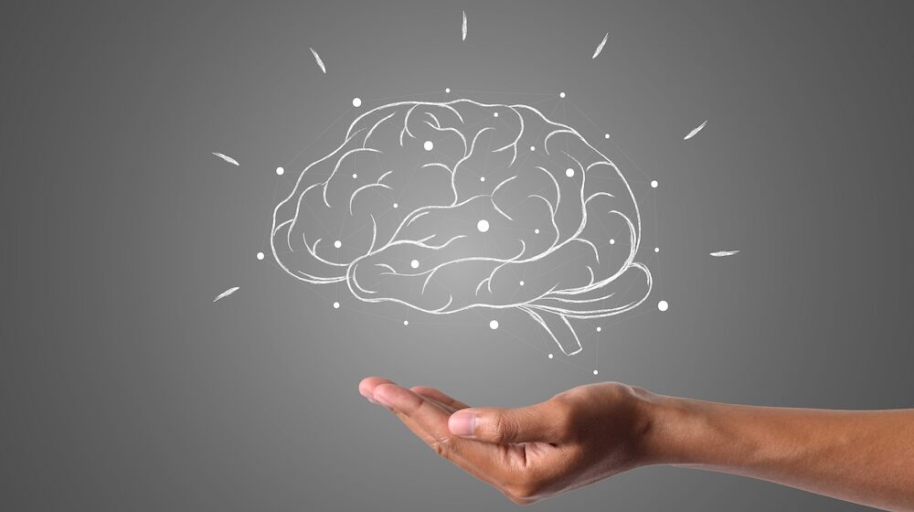 Lab-grown mini-brains offer new insight into childhood epilepsy