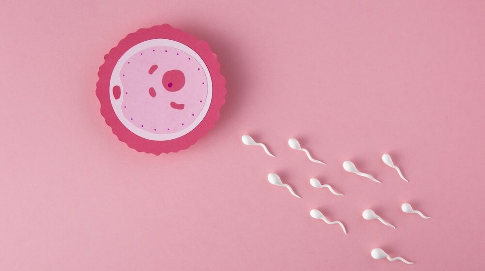 New research links prenatal chemical exposure to chromosomal abnormalities in adult sperm