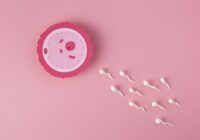 New research links prenatal chemical exposure to chromosomal abnormalities in adult sperm