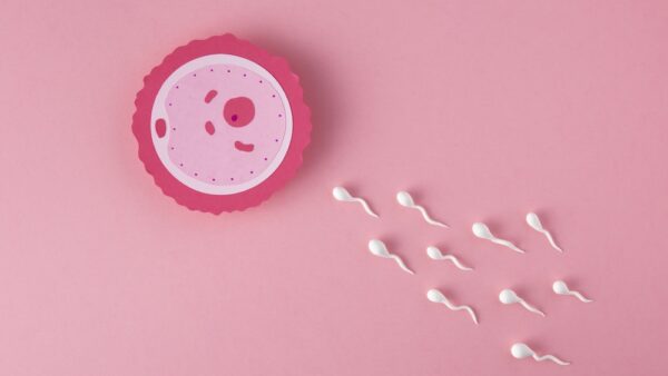 New research links prenatal chemical exposure to chromosomal abnormalities in adult sperm