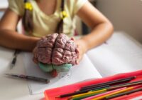 New treatment cuts seizures by up to 91 per cent in children with Dravet syndrome